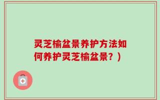 灵芝榆盆景养护方法如何养护灵芝榆盆景？)