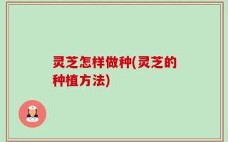 灵芝怎样做种(灵芝的种植方法)