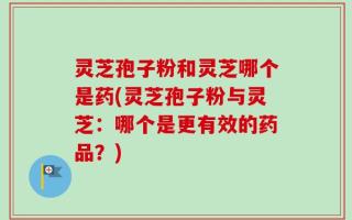 灵芝孢子粉和灵芝哪个是药(灵芝孢子粉与灵芝：哪个是更有效的药品？)
