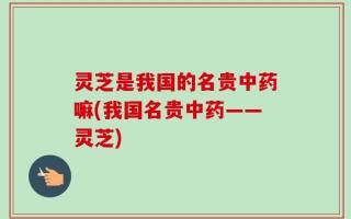 灵芝是我国的名贵中药嘛(我国名贵中药——灵芝)