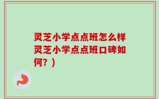 灵芝小学点点班怎么样灵芝小学点点班口碑如何？)