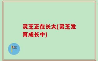 灵芝正在长大(灵芝发育成长中)