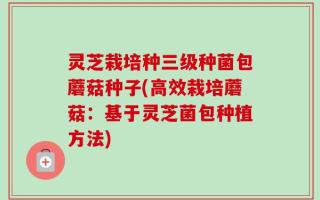 灵芝栽培种三级种菌包蘑菇种子(高效栽培蘑菇：基于灵芝菌包种植方法)