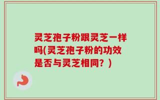 灵芝孢子粉跟灵芝一样吗(灵芝孢子粉的功效是否与灵芝相同？)