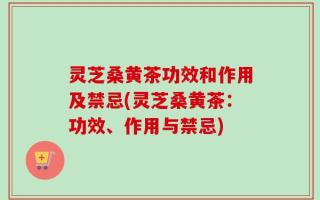 灵芝桑黄茶功效和作用及禁忌(灵芝桑黄茶：功效、作用与禁忌)