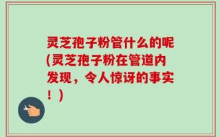 灵芝孢子粉管什么的呢(灵芝孢子粉在管道内发现，令人惊讶的事实！)