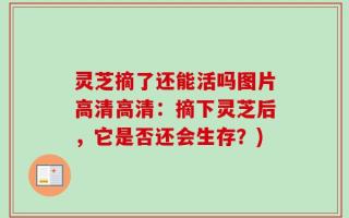 灵芝摘了还能活吗图片高清高清：摘下灵芝后，它是否还会生存？)