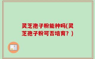 灵芝孢子粉能种吗(灵芝孢子粉可否培育？)