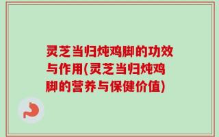 灵芝当归炖鸡脚的功效与作用(灵芝当归炖鸡脚的营养与保健价值)
