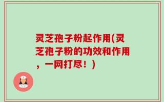 灵芝孢子粉起作用(灵芝孢子粉的功效和作用，一网打尽！)
