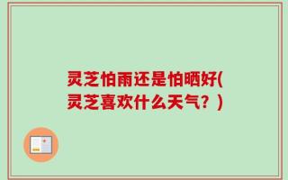 灵芝怕雨还是怕晒好(灵芝喜欢什么天气？)