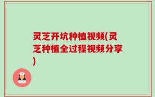 灵芝开坑种植视频(灵芝种植全过程视频分享)