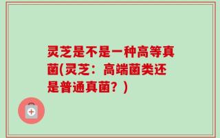 灵芝是不是一种高等真菌(灵芝：高端菌类还是普通真菌？)