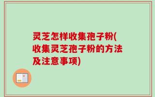 灵芝怎样收集孢子粉(收集灵芝孢子粉的方法及注意事项)