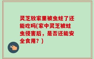 灵芝放家里被虫蛀了还能吃吗(家中灵芝被蛀虫侵害后，是否还能安全食用？)