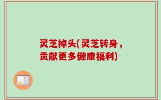 灵芝掉头(灵芝转身，贡献更多健康福利)