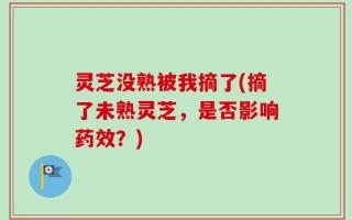 灵芝没熟被我摘了(摘了未熟灵芝，是否影响药效？)