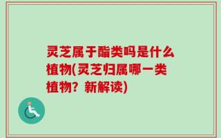 灵芝属于酯类吗是什么植物(灵芝归属哪一类植物？新解读)