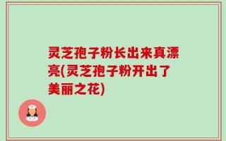 灵芝孢子粉长出来真漂亮(灵芝孢子粉开出了美丽之花)