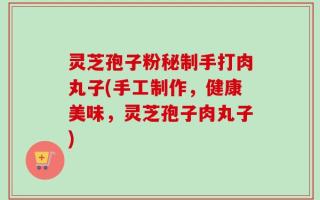 灵芝孢子粉秘制手打肉丸子(手工制作，健康美味，灵芝孢子肉丸子)