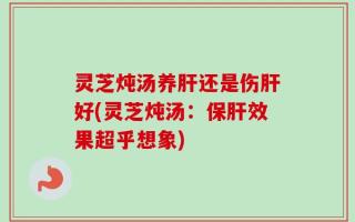 灵芝炖汤养肝还是伤肝好(灵芝炖汤：保肝效果超乎想象)