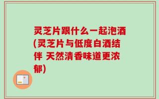 灵芝片跟什么一起泡酒(灵芝片与低度白酒结伴 天然清香味道更浓郁)
