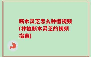 断木灵芝怎么种植视频(种植断木灵芝的视频指南)