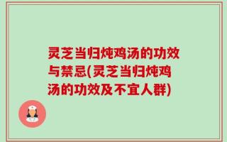 灵芝当归炖鸡汤的功效与禁忌(灵芝当归炖鸡汤的功效及不宜人群)