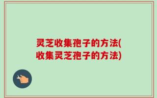 灵芝收集孢子的方法(收集灵芝孢子的方法)