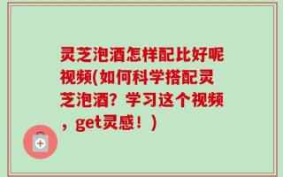 灵芝泡酒怎样配比好呢视频(如何科学搭配灵芝泡酒？学习这个视频，get灵感！)