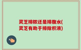 灵芝排脓还是排腹水(灵芝有助于排除积液)