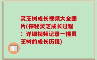 灵芝树成长视频大全图片(探秘灵芝成长过程：详细视频记录一棵灵芝树的成长历程)