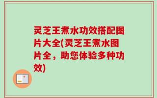 灵芝王煮水功效搭配图片大全(灵芝王煮水图片全，助您体验多种功效)