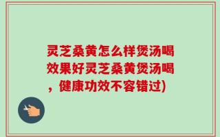 灵芝桑黄怎么样煲汤喝效果好灵芝桑黄煲汤喝，健康功效不容错过)