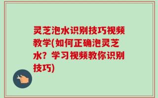 灵芝泡水识别技巧视频教学(如何正确泡灵芝水？学习视频教你识别技巧)