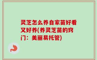 灵芝怎么养自家苗好看又好养(养灵芝苗的窍门：美丽易托管)