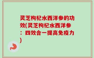 灵芝枸杞水西洋参的功效(灵芝枸杞水西洋参：四效合一提高免疫力)