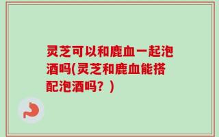 灵芝可以和鹿血一起泡酒吗(灵芝和鹿血能搭配泡酒吗？)