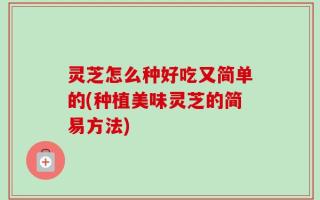 灵芝怎么种好吃又简单的(种植美味灵芝的简易方法)