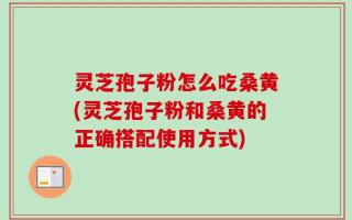 灵芝孢子粉怎么吃桑黄(灵芝孢子粉和桑黄的正确搭配使用方式)