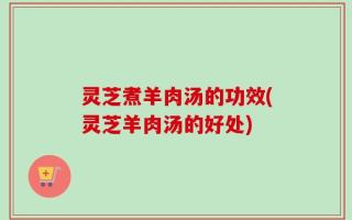 灵芝煮羊肉汤的功效(灵芝羊肉汤的好处)