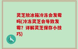 灵芝放冰箱冷冻会发霉吗(冷冻灵芝会导致发霉？详解灵芝保存小技巧)