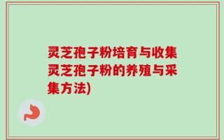 灵芝孢子粉培育与收集灵芝孢子粉的养殖与采集方法)