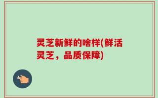 灵芝新鲜的啥样(鲜活灵芝，品质保障)