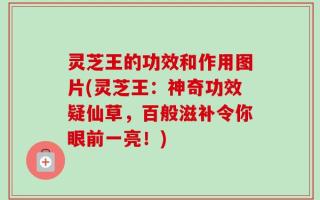 灵芝王的功效和作用图片(灵芝王：神奇功效疑仙草，百般滋补令你眼前一亮！)