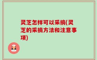 灵芝怎样可以采摘(灵芝的采摘方法和注意事项)