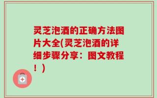 灵芝泡酒的正确方法图片大全(灵芝泡酒的详细步骤分享：图文教程！)