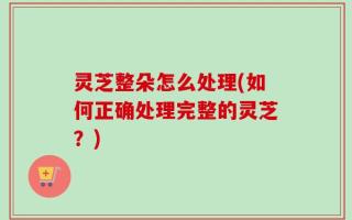 灵芝整朵怎么处理(如何正确处理完整的灵芝？)