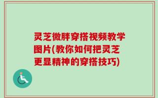 灵芝微胖穿搭视频教学图片(教你如何把灵芝更显精神的穿搭技巧)