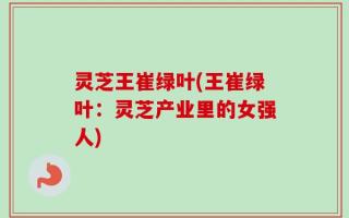 灵芝王崔绿叶(王崔绿叶：灵芝产业里的女强人)